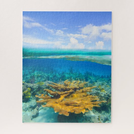 美しい珊瑚礁ジグソーの上下パズル ジグソーパズル (縦)