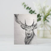 美しい生き物の驚くべき鉛筆スケッチ。 ポストカード (スタンド正面)