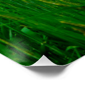 美しい田舎 ポスター (コーナー)