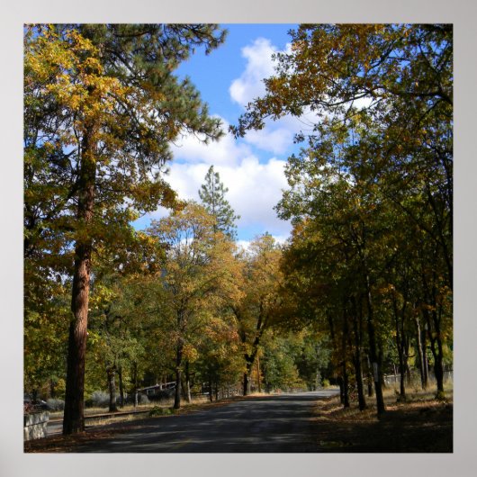 美しい町… ポスター (正面)