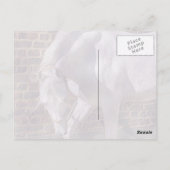 美しい白いアラビア馬 ポストカード (裏面)