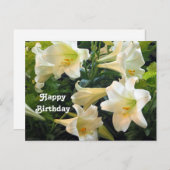 美しい白いイースターリリーの花の写真 誕生日のギフト ポストカード (正面/裏面)