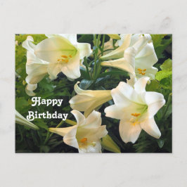 美しい白いイースターリリーの花の写真 誕生日 ポストカード