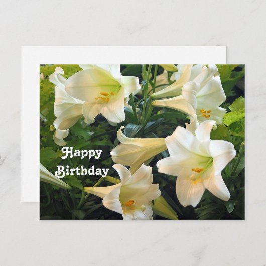 美しい白いイースターリリーの花の写真 誕生日 ポストカード (正面/裏面)