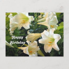 美しい白いイースターリリーの花の写真 誕生日 ポストカード