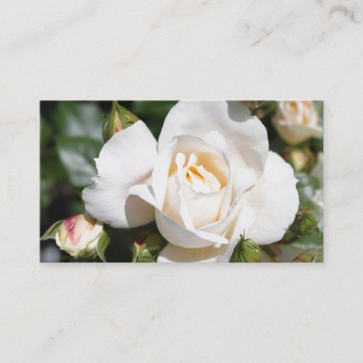 美しい白いエレガントバラの花プロフェッショナル 名刺 (正面)