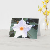 美しい白いオリーブの花のグリーティングカード カード (黄色い花)