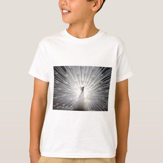 美しい白いクジャク Tシャツ (正面)