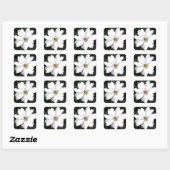 美しい白いクレマチスの花 スクエアシール (シート)