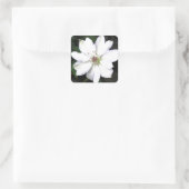 美しい白いクレマチスの花 スクエアシール (バッグ)