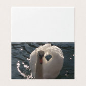 美しい白いスワン (外部フラット)