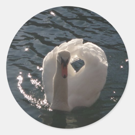 美しい白いスワン ラウンドシール (正面)