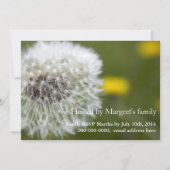 美しい白いタンポポの種子頭卒業 招待状 (裏面)