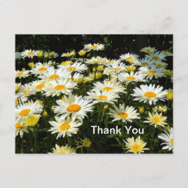 美しい白いデイジーの庭の花の写真　ありがとうございます ポストカード
