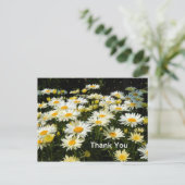 美しい白いデイジーの庭の花の写真 ありがとう ポストカード (スタンド正面)