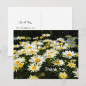 美しい白いデイジーの庭の花写真 感謝 ポストカード (正面/裏面)
