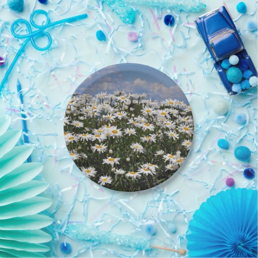 美しい白いデイジーの庭 ペーパープレート (パーティー)