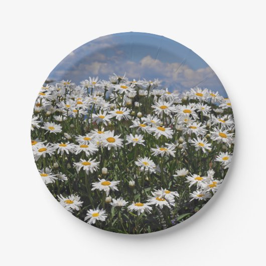 美しい白いデイジーの庭 ペーパープレート (正面)