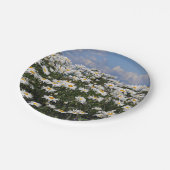 美しい白いデイジーの庭 ペーパープレート (アングル)