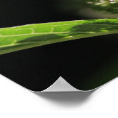 美しい白いトゲの植物花 ポスター (角)