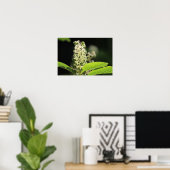 美しい白いトゲの植物花 ポスター (ホームオフィス)