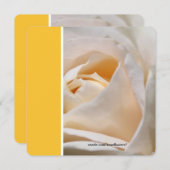 美しい白いバラの花の誕生日パーティー 招待状 (正面/裏面)