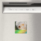 美しい白いバラの花は日付以外 マグネット (インサイチュ (食洗機))