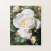 美しい白いバラの花。ラブとロマンス。 ジグソーパズル (縦)