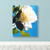 美しい白いバラ キャンバスプリント (インサイチュ (ウッドフロア))