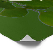 美しい白いピンクのバラ ポスター (角)