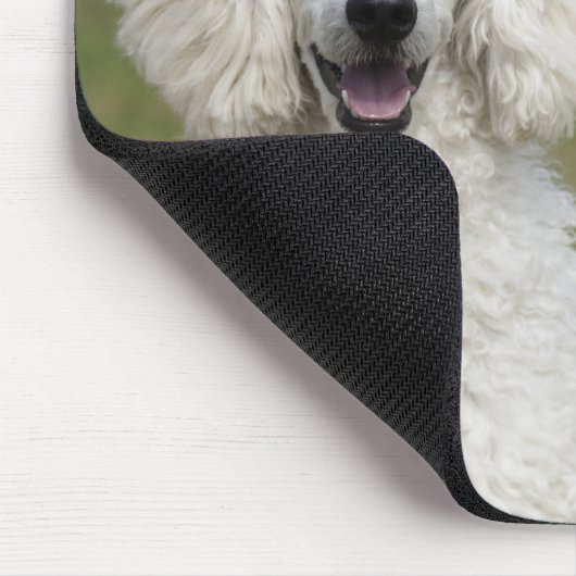 美しい白いプードル2025犬カレンダー マウスパッド (コーナー)