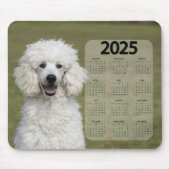 美しい白いプードル2025犬カレンダー マウスパッド (正面)