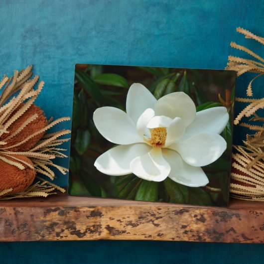 美しい白いマグノリア花 フォトプラーク (側面)