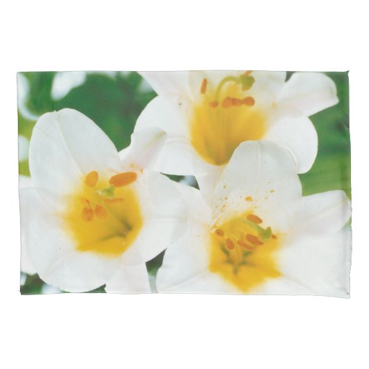 美しい白いユリ – Lilium candidum 枕カバー (正面)