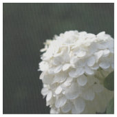 美しい白いライム色の紫陽花の花 ファブリック (クローズアップ)
