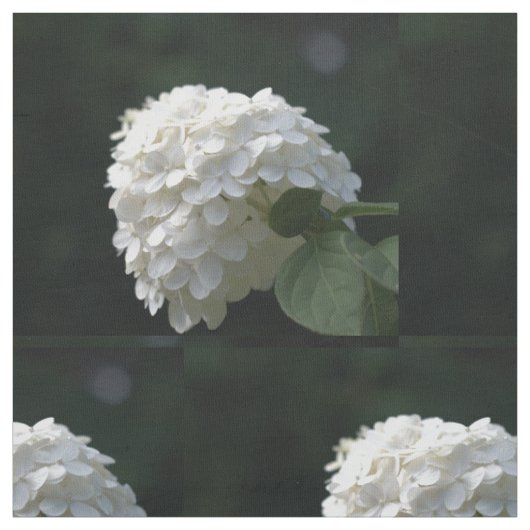 美しい白いライム色の紫陽花の花 ファブリック (見本)