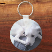 美しい白いラブラドールレトリエバーミックスの写真 キーホルダー (正面)