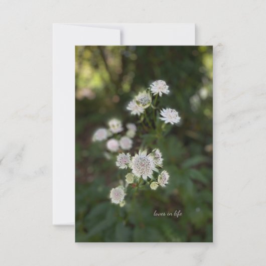 美しい白い夏の花 ノートカード (正面)