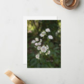 美しい白い夏の花 ノートカード (正面/裏面インサイチュ)