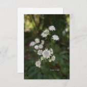 美しい白い夏の花 ノートカード (正面/裏面)