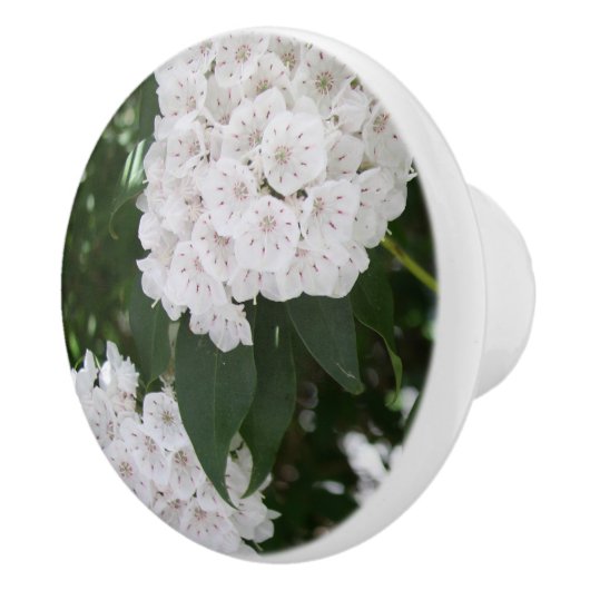 美しい白い山シャクナゲの花 セラミックノブ (右)