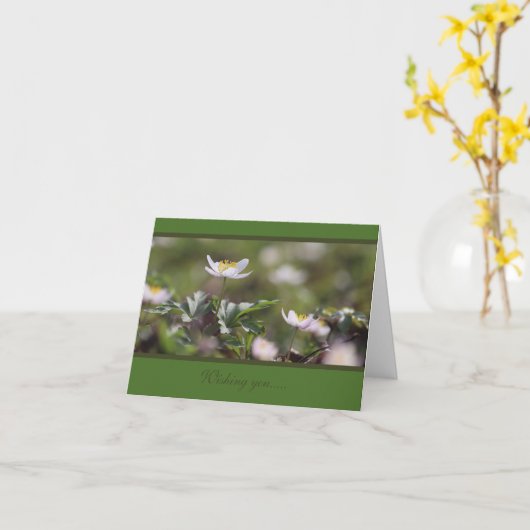 美しい白い木のアネモネス カード (黄色い花)