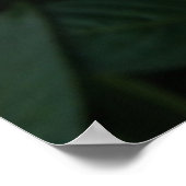 美しい白い熱帯の花プリント ポスター (角)