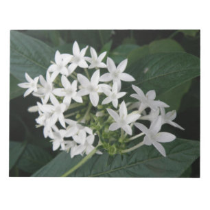 美しい白い熱帯の花メモ帳 ノートパッド