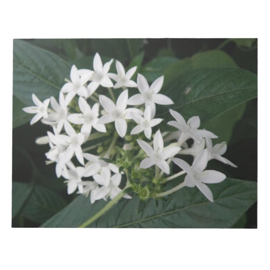 美しい白い熱帯の花メモ帳 ノートパッド (正面)