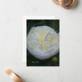 美しい白い牡丹 ノートカード (正面/裏面インサイチュ)