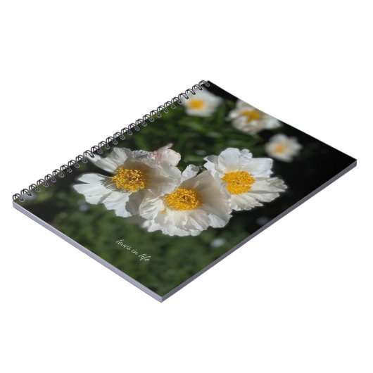 美しい白い牡丹 ノートブック (左側)