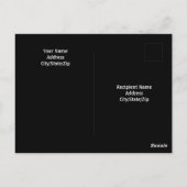 美しい白い犬のモノクロ写真 ポストカード (裏面)