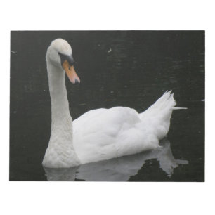 美しい白い白鳥メモ帳 ノートパッド