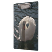 美しい白い白鳥 クリップボード (左)